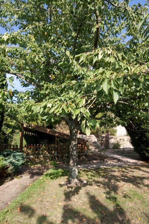 Le Petit Chateau - Tiffauges Proche Puy Dufou Екстер'єр фото